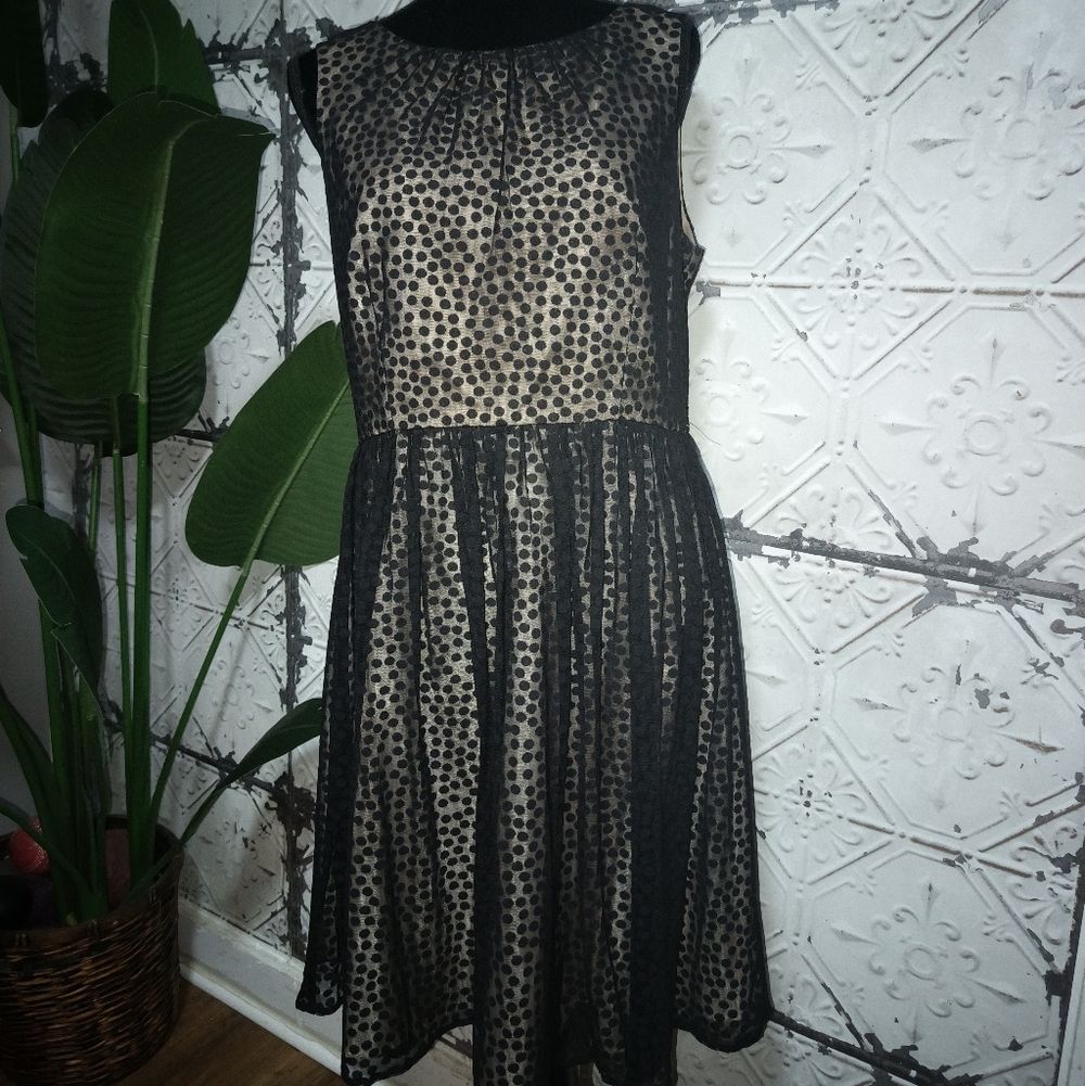 Jessica Howard Black and Cream Polka Dot Midi Dress